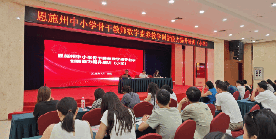 2025年恩施州中小学骨干教师数字素养教学创新能力提升培训（小学）